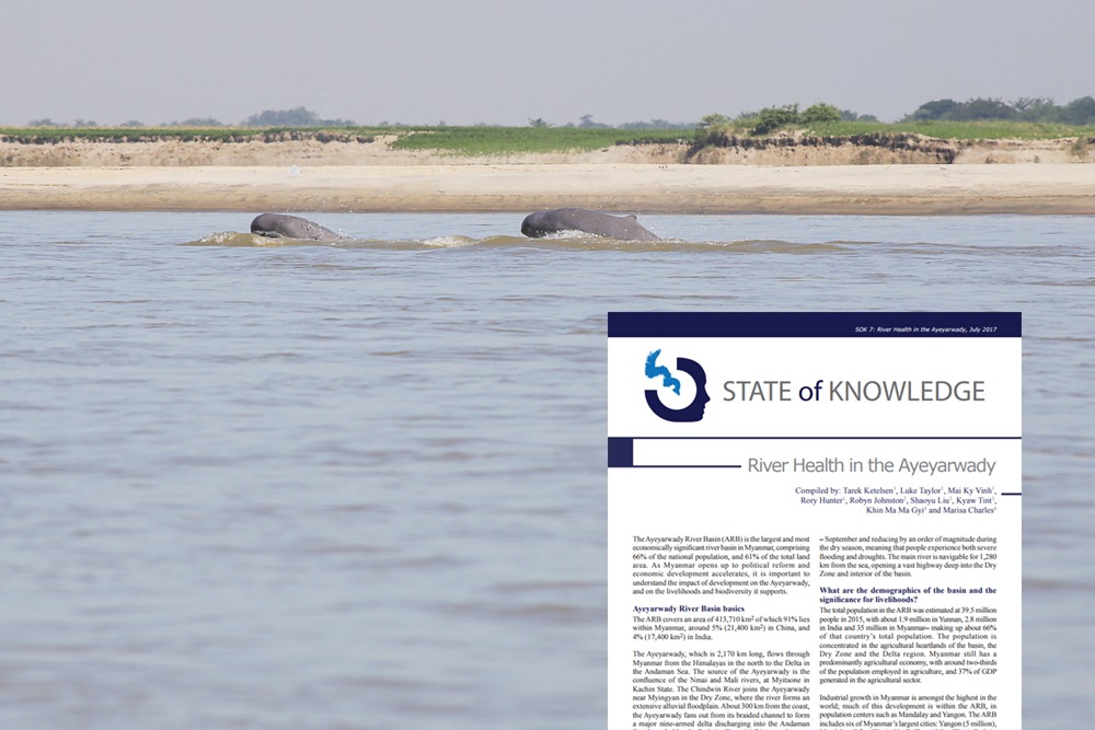 State of Knowledge papers: River health in the Salween and Ayeyarwady